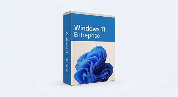 Windows 11 Entreprise