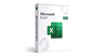 Microsoft Excel 2024 (Windows)