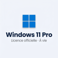 Windows 11